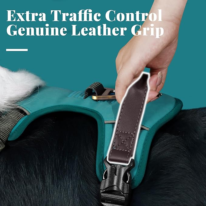 No Pull Dog Harness Small Sized Dog,Stylish PU Leather Vest with Easy Control Handle,No Choke Front Clip with 2 Metal Leash Clips,Reflective & Adjustable for Walking,Light Blue,Chest 19-24"