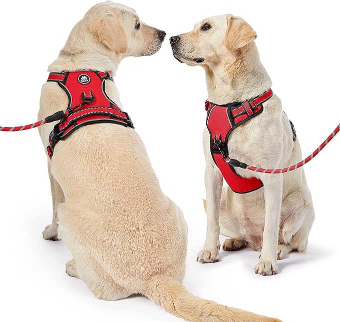 NESTROAD No Pull Dog Harness,Adjustable Oxford Dog Vest Harness with Leash,Reflective No-Choke Pet Harness with Easy Control Soft Handle for Small Dogs(Small,Red)