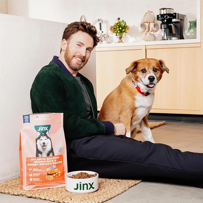 Jinx Premium Dry Dog Food, for All Lifestages - Real Beef, Brown Rice & Sweet Potato Kibble with Superfoods for Immune Support & Probiotics for Digestive Support - No Fillers - 30lb