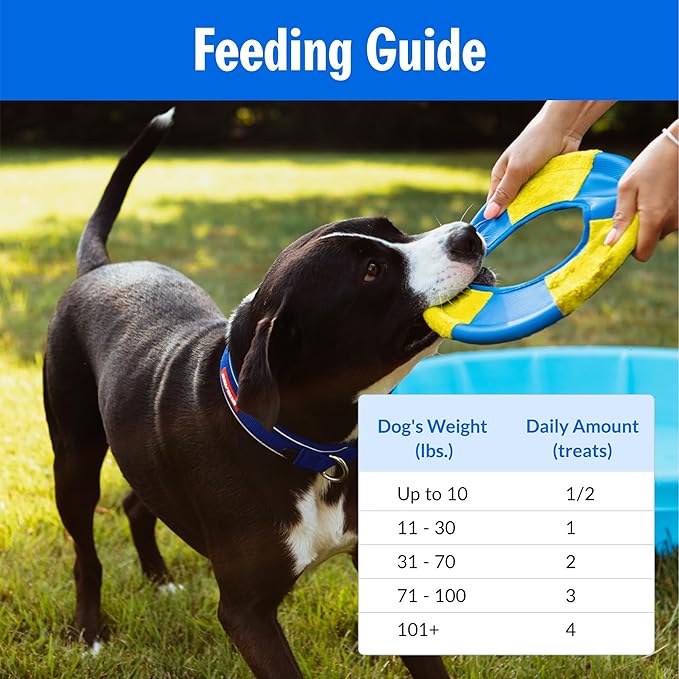 PetPlate Hip Hopping Soft Chews for Dogs, Hip and Joint Supplements, Organic and Human-Grade Ingredients, Mobility Support, Pet Supplies (Pack of 1, 9.8 Ounce)