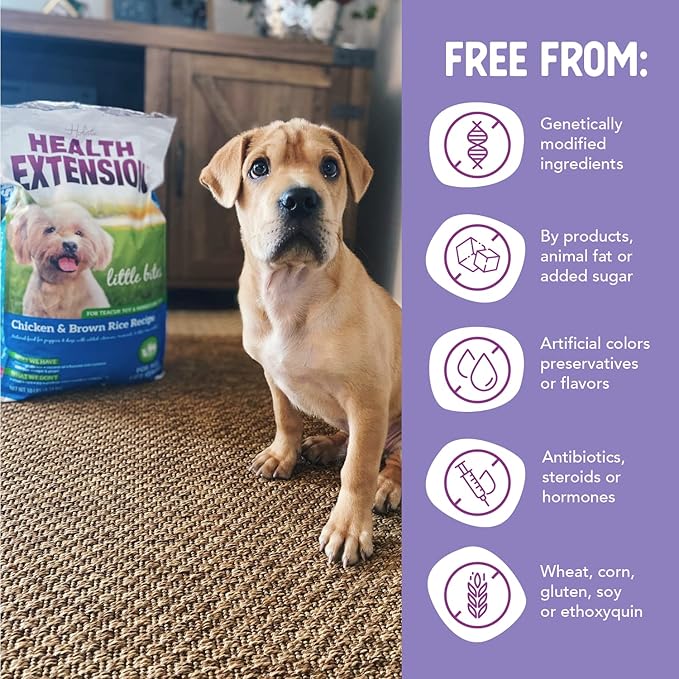 Health Extension Little Bites Chicken & Brown Rice Dry Dog Food (4 lb / 1.8 Kg) - Natural with Probiotics and Superfoods for Teacup, Toy & Small Breeds