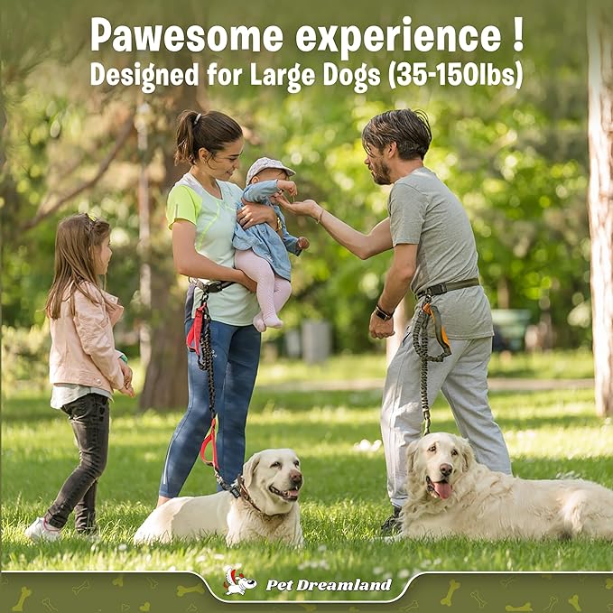 Exquisite Hands-Free Leash for Large Dogs: Ultimate Comfort & Freedom for Running, Walking, Hiking. Premium Quality, Durable & Versatile Waist Leash Belt. Your Dog Will Love It