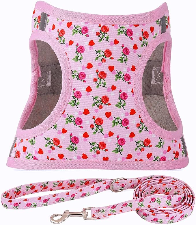 Moonpet Step in Valentine's Day Dog Harness Leash Set- All Weather Reflective No-Pull Floral Pattern Padded Mesh Vest Harness for Cats Puppy Extra-Small Small Medium Large Dogs - Heart Rose - XL