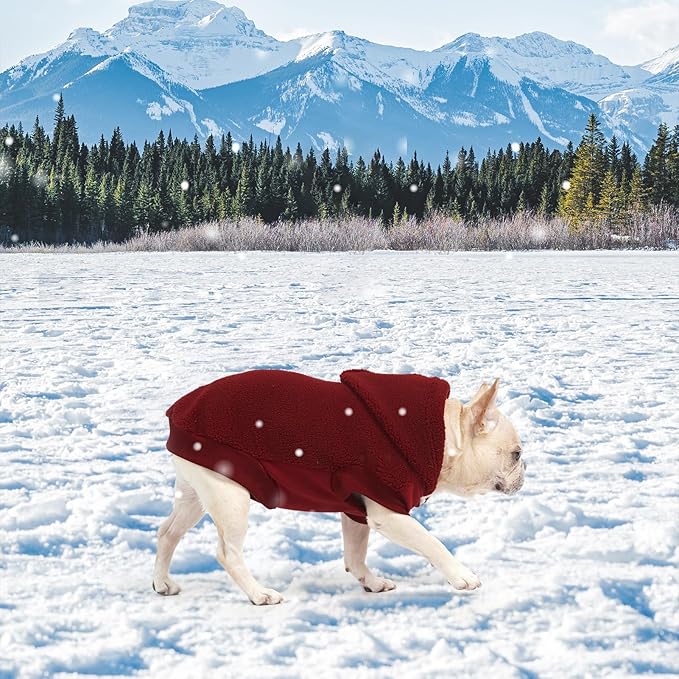 BINGPET Dog Hoodie Dog Sweater with Leash Hole, Warm Fleece Dog Sweatshirt with Hood, Cold Weather Dog Clothes Winter Coat for Puppy Small Medium Large Dogs Boy and Girl(Red, M)