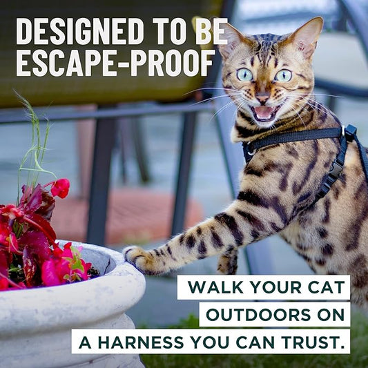 Houdini™ Escape Proof Cat Harness and Leash Set by OutdoorBengal – Black, Large Cat Harness for Walking Big Cats