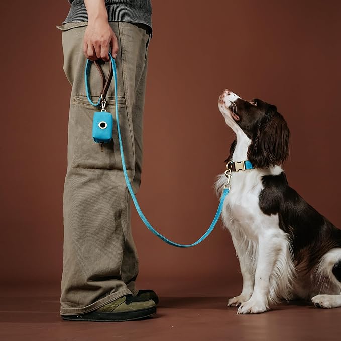 Didog Soft PU Leather Dog Collars for Small Dogs,Classic Adjustable Dog Collars with Quick Release Metal Buckle,Easy Clean and Comfortable with Nylon Lining,Light Blue,S Neck 10-15"