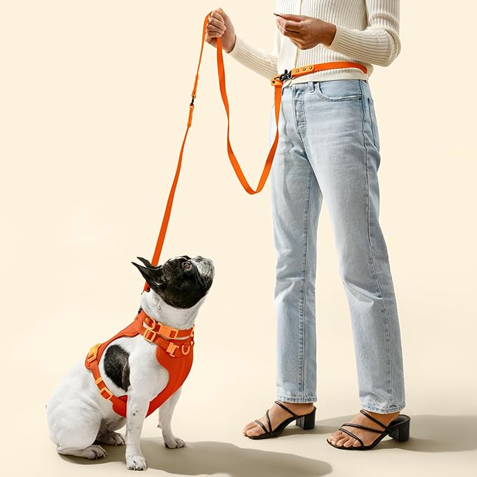 HNS1002A Arlo Medium Adjustable Soft Padded No Pull Pet Harness with 3 Buckles and 3 Leash Clips, Aperol