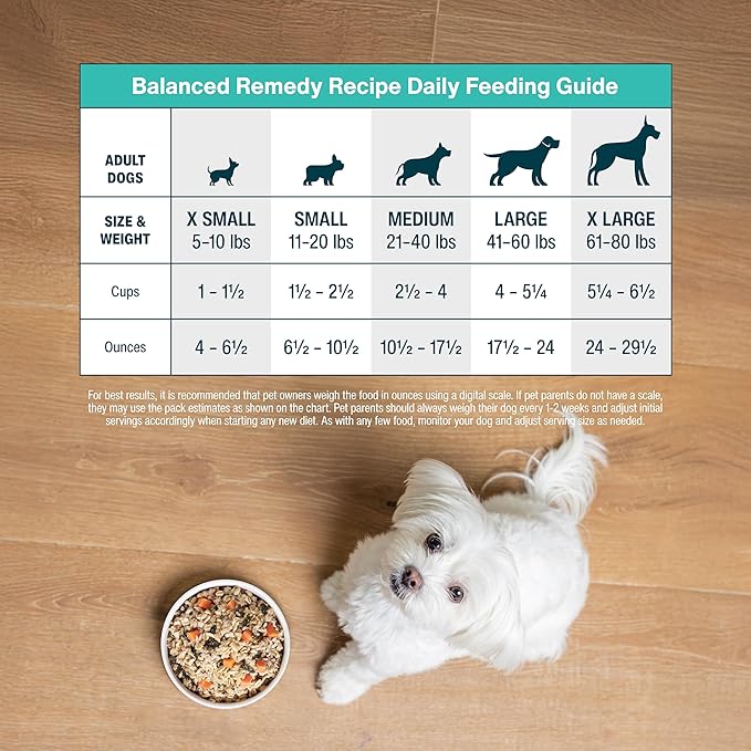 JustFoodForDogs Frozen Fresh Dog Food for Sensitive Stomachs, Complete Meal or Dog Food Topper, Balanced Remedy Human Grade Dog Food, 18 oz (Pack of 21)