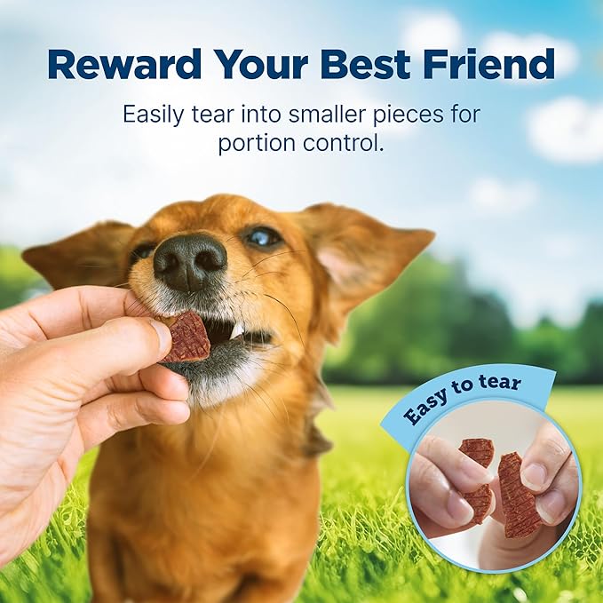 Blue Buffalo Nudges Homestyle Natural Dog Treats Chicken and Bacon Bag