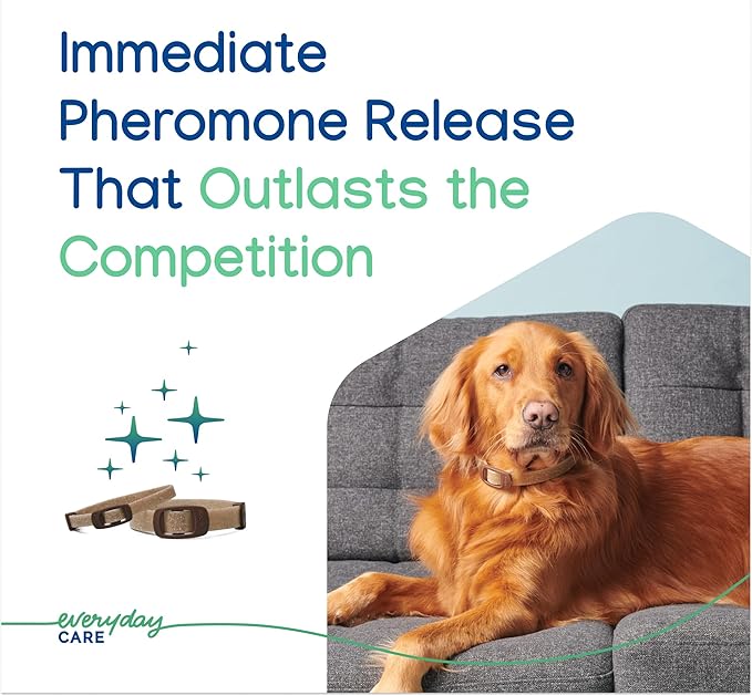 Virbac ZENIDOG Long Acting Dog Calming Pheromone Collar for Stress Relief, Medium/Large Dog - Lasts up to 3 Months