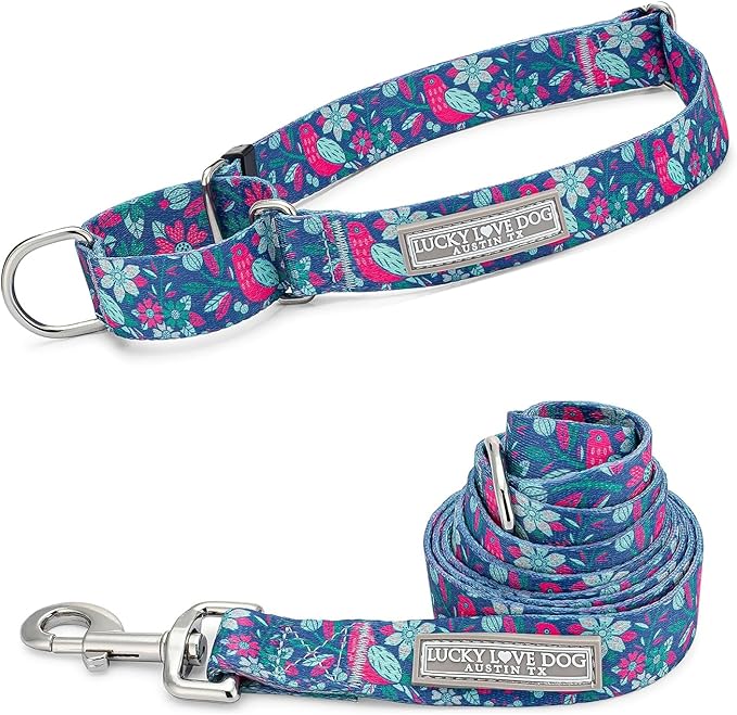 Lucky Love Dog - Easy Click Buckle Dog Collar with Leash Set Combo, Durable & Comfortable for Male & Female Dogs, Pet Collar for Small to Large Dogs, Secure Fit - Carriebelle Combo, Medium