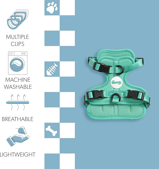 HNS1000K Arlo Extra Small Adjustable Soft Padded No Pull Pet Harness with 3 Buckles and 3 Leash Clips, Julep