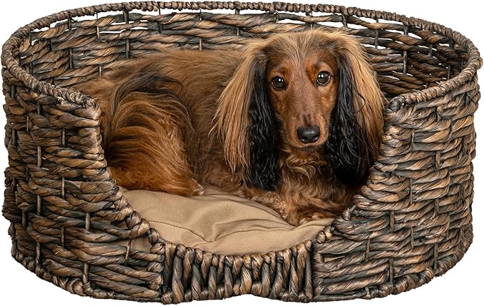 DBD4001B Perri 24" x 18" Classic Farmhouse Handwoven Hyacinth Oval Pet Bed with Machine-Washable Cushion, Brown