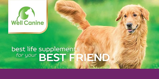 32 Ounce Liquid Glucosamine For Dogs | K9 Hip and Joint Health Supplement | Formulated with MSM, Turmeric Root and Antioxidants | Non-GMO and Shellfish-Free | Anti-Inflammatory, Antioxidant | USA M