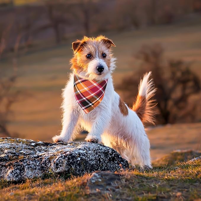 ADOGGYGO Fall Dog Bandanas 2 Pack, Premium Cotton Fabric, Orange Plaid Holiday Pet Scarf, Fall Thanksgiving Halloween Bandanas for Small Dogs (Small)