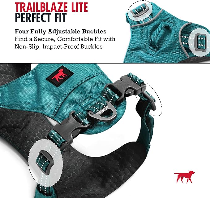 Tuff Pupper All-Day Wear Dog Harness | for Walking, Trail Running, Hiking | Front & Back Leash Clips | Reflective Trim | Easy On/Off Buckles | Lightweight Breathable | No Pull Design (XXS, Teal)
