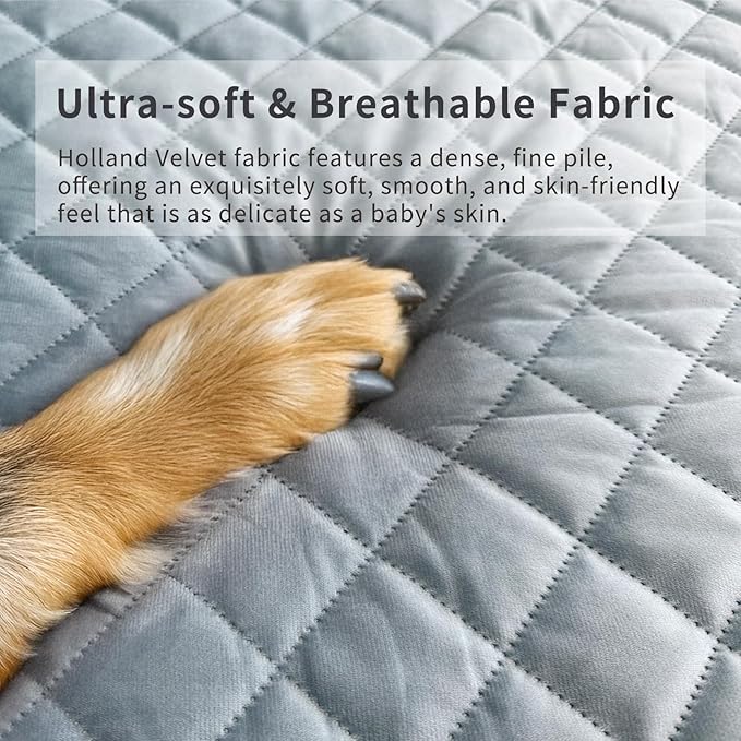 Orthopedic Dog Bed for Medium and Large Sized Dogs - Egg Crate Foam, Machine Washable & Waterproof & Non-Slip Bottom, Ideal Dog Beds for Crate and Indoor Use, 35x22 Inch, Pale Blue Gray
