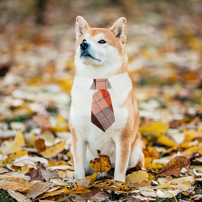 ADOGGYGO Fall Dog Necktie, Halloween Thanksgiving Pet Tuxedo, Orange Plaid Fall Neck Tie Collar for Medium Dogs (Medium)