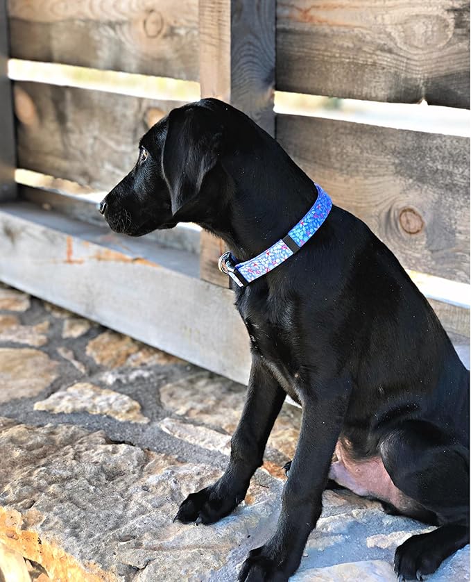 Lucky Love Dog - Adjustable Dog Collar with Easy Click Buckle for Small to Large Dogs, Durable, & Comfortable for Male & Female Dogs, Pet Collar for Puppies & Adult Ones - Winterblue, XS