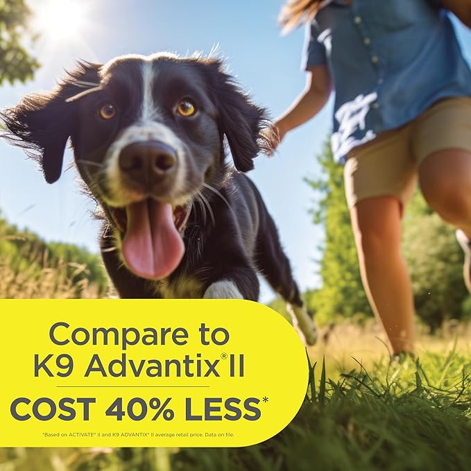 TevraPet Activate II Flea and Tick Prevention for Dogs | 4 Count | Large Dogs 21-55 lbs | Topical Drops | 4 Months Flea Treatment