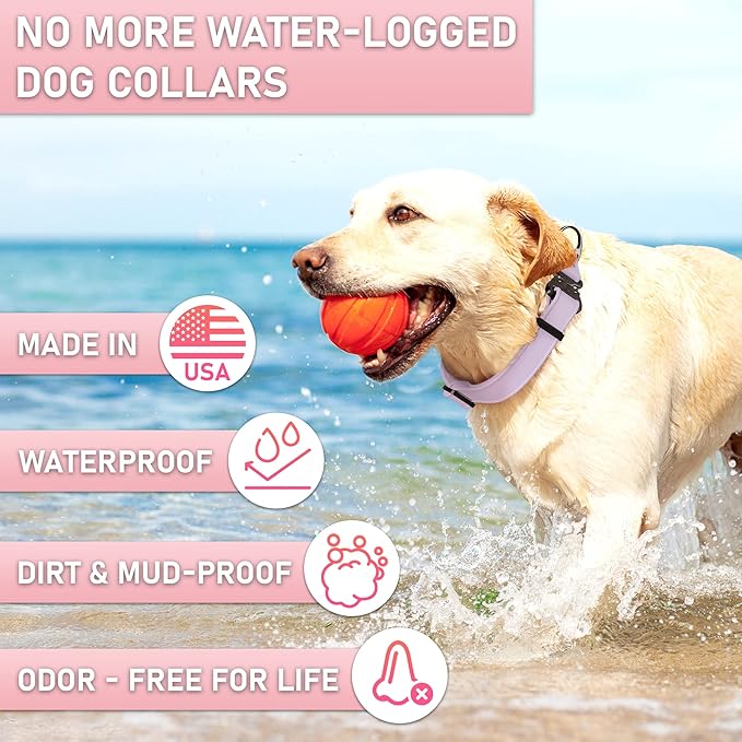 Biothane Dog Collar with Cobra Buckle - Made in USA - QR Code Dog Tag ID Included - Adjustable Heavy Duty Dog Collars for Medium Large Dogs - Waterproof Military Grade Tactical Collar for Dogs