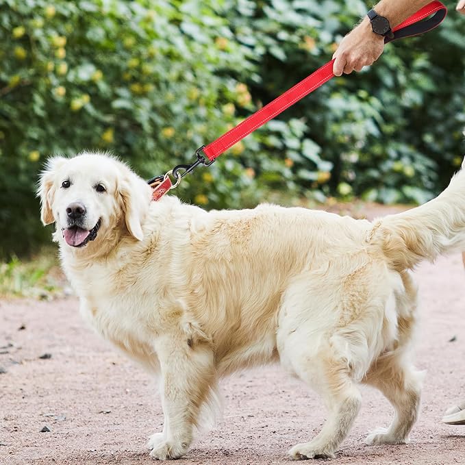 Dog Leash, Short Dog Leash, Leashes for Large Breed Dogs,Traffic Padded Handle- Reflective Training Lead, Perfect for Medium to Large Dogs(24 Inch, Red)