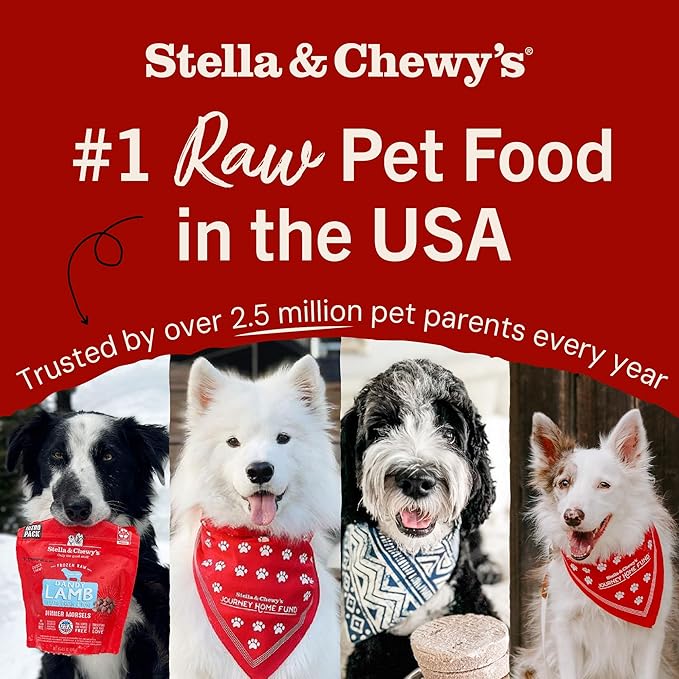 Stella & Chewy's Freeze-Dried Raw Dinner Patties - Surf 'N Turf Salmon & Beef Recipe - High Protein Grain-Free Puppy & Dog Food - Perfect For Picky Eaters - 25 oz