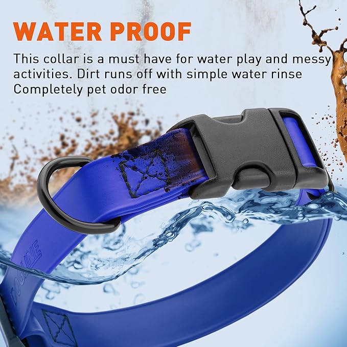 Dogline Durable Biothane Waterproof Collar for Dogs - Odor-Resistant Coated Webbing, Quick-Release Design, Comfortable Adjustable Fit, 3/4" W by 12-19" L, Blueberry Royal