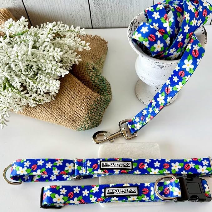 Lucky Love Dog - Easy Click Buckle Dog Collar with Leash Set Combo, Durable & Comfortable for Male & Female Dogs, Pet Collar for Small to Large Dogs, Secure Fit - Lilian Combo, XS