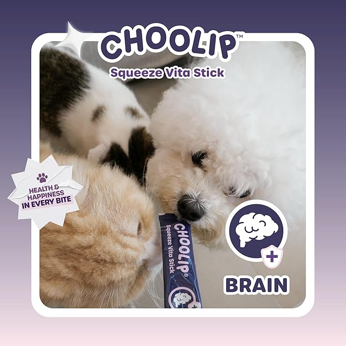 Choolip Squeeze Vita Stick Lickable Cat and Dog Treats – 49-Count Brain Support Sticks with Multivitamins, Soft Squeezable Paste for All Life Stages, Supporting Brain Health - Box with 7 Pouches
