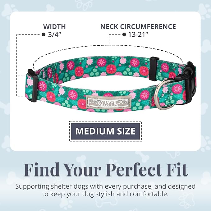 Lucky Love Dog - Adjustable Dog Collar with Easy Click Buckle for Small to Large Dogs, Durable, & Comfortable for Male & Female Dogs, Pet Collar for Puppies & Adult Ones - Penny, Medium