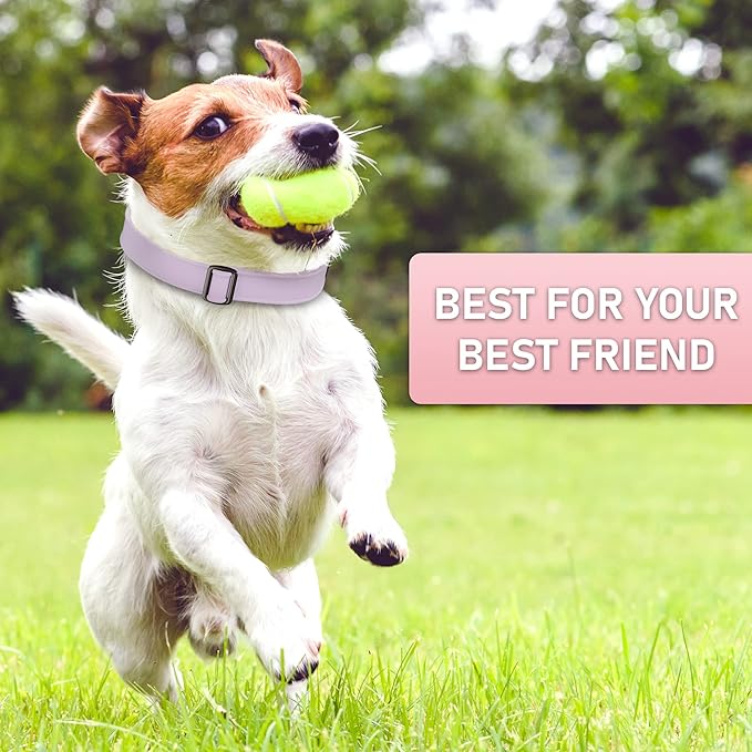 Biothane Dog Collar with Cobra Buckle - Made in USA - QR Code Dog Tag ID Included - Adjustable Heavy Duty Dog Collars for Medium Large Dogs - Waterproof Military Grade Tactical Collar for Dogs