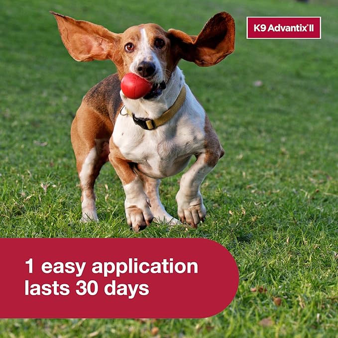 K9 Advantix II Small Dog Vet-Recommended Flea, Tick & Mosquito Treatment & Prevention | Dogs 4-10 lbs. | 2-Mo Supply