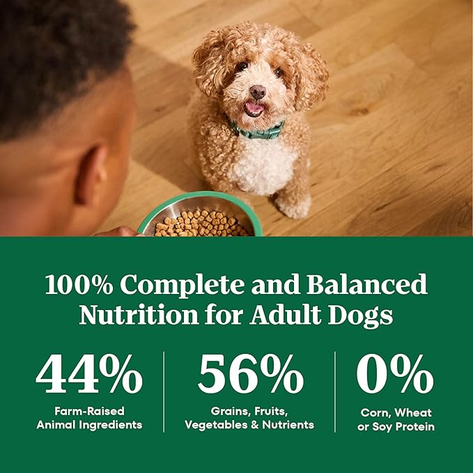 Nutro Natural Choice Chicken & Brown Rice Adult Small Bites Dog Food Recipe, 5 lb. Bag