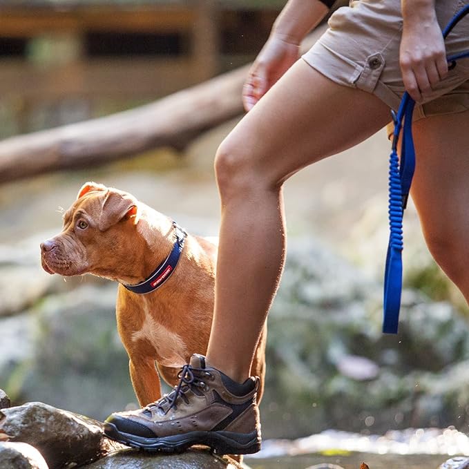 EzyDog Zero Shock Dog Leash - Shock Absorbing Bungee Leash for Dogs That Pull or Excite - Dual Handle and Reflective for Large, Medium, or Small Dogs (48-Inch, Gray)