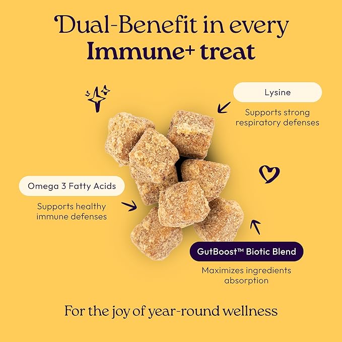 New! WellJoy Cat Treat Immune+ GutBoost | Supports a Healthy Respiratory System & Immune Defenses | Dual-Benefit GutBoost Formulation | Vet Formulated | Made in USA | Real Chicken | 120 Soft Chews