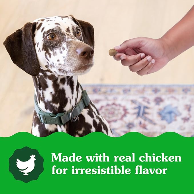 Greenies Supplements Digestive Health Probiotics for Dogs Chicken Flavor, 7.8 oz. Pouch of 40 ct.