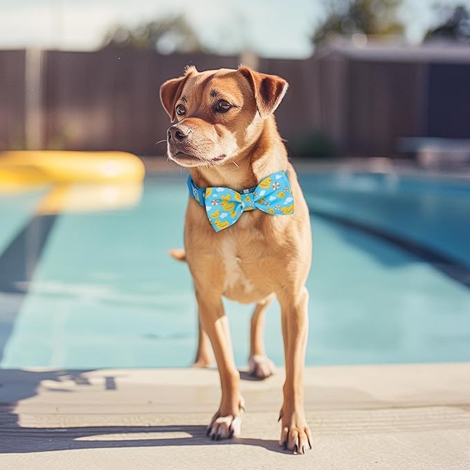azuza Dog Collar with Bow Tie, Soft and Comfortable Adjustable Bowtie Dog Collar for Small Dogs (S, Yellow Duck)