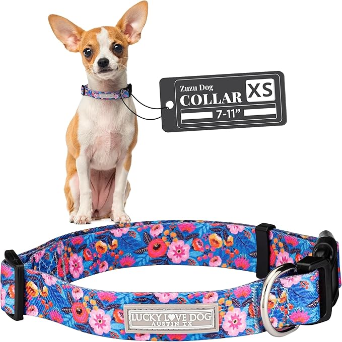 Lucky Love Dog - Adjustable Dog Collar with Easy Click Buckle for Small to Large Dogs, Durable, & Comfortable Collar for Male & Female Dogs, Pet Collar for Puppies & Adult Dogs - Zuzu, XS