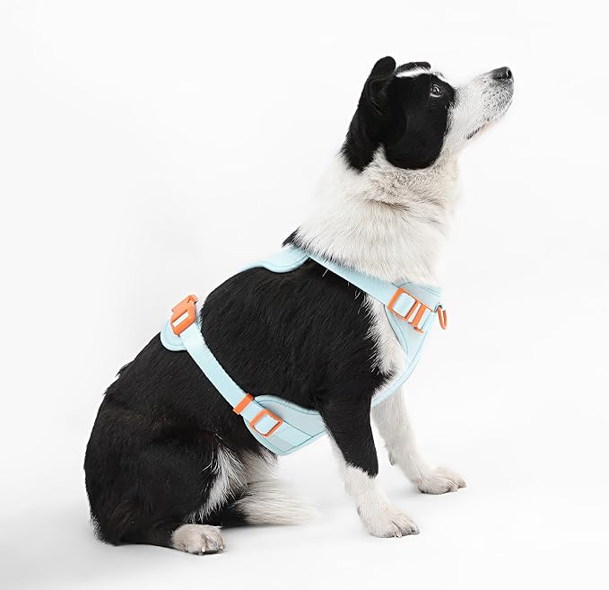 HNS1003D Arlo Large Adjustable Soft Padded No Pull Pet Harness with 3 Buckles and 3 Leash Clips, Fishbowl