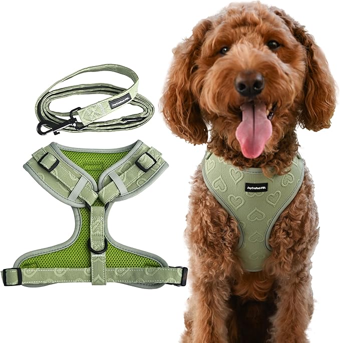 No Pull Puppy Harness and Leash Set – No Choke Neoprene Dog Harness for Large Dogs (40–60lbs), Green(L), Lightweight Breathable Mesh with Unique Heart Pattern, Adjustable Fit