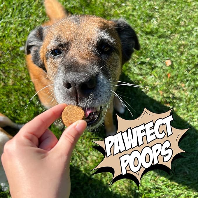 Chippin Chicken-Free, Peanut Butter Dog Treats – Sensitive Stomach & Allergy-Friendly, Puppy Training Treats, Healthy & Natural Christmas Treats for All Dogs, Sustainable Cricket Protein