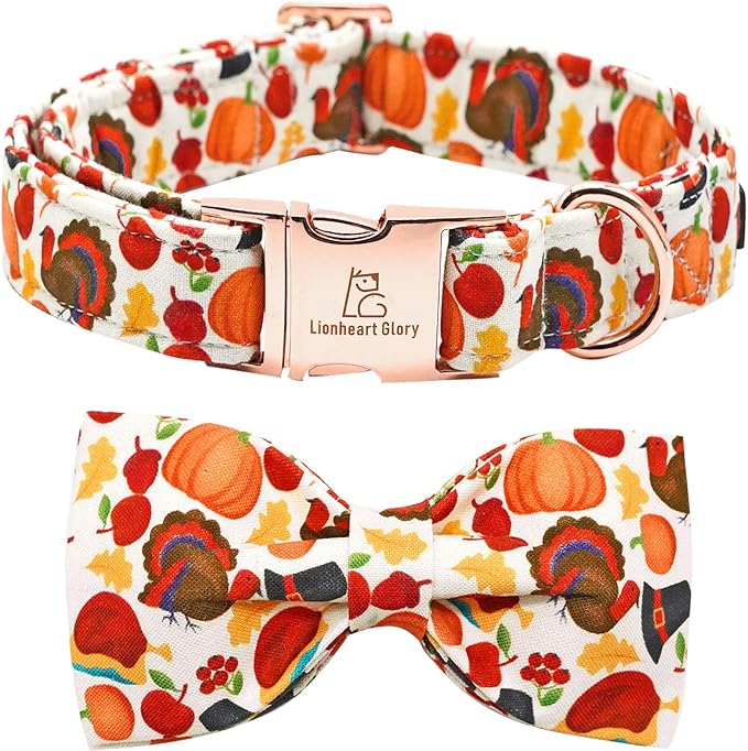 Lionheart Glory Turkey Bow Collar for Girl or Boy - Pet Gift Thanksgiving Collar for Small Dogs