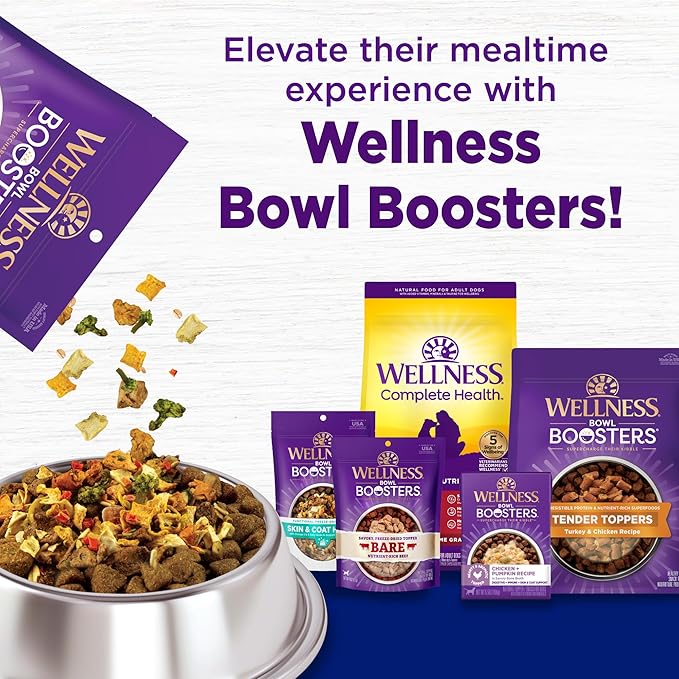 Wellness Complete Health Dry Dog Food, Large Breed, Grain Free, Natural, Chicken Recipe, (24-Pound Bag)