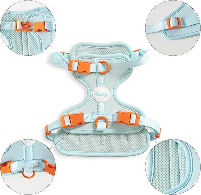 HNS1001D Arlo Small Adjustable Soft Padded No Pull Pet Harness with 3 Buckles and 3 Leash Clips, Fishbowl