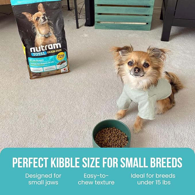 T28 Grain-Free Dog Food for Small & Toy Breeds – High Protein Trout & Salmon Meal Kibble | Chicken-Free, Limited Ingredient, Fish Dry Dog Food for Small Dogs & Puppies (12 Pounds)