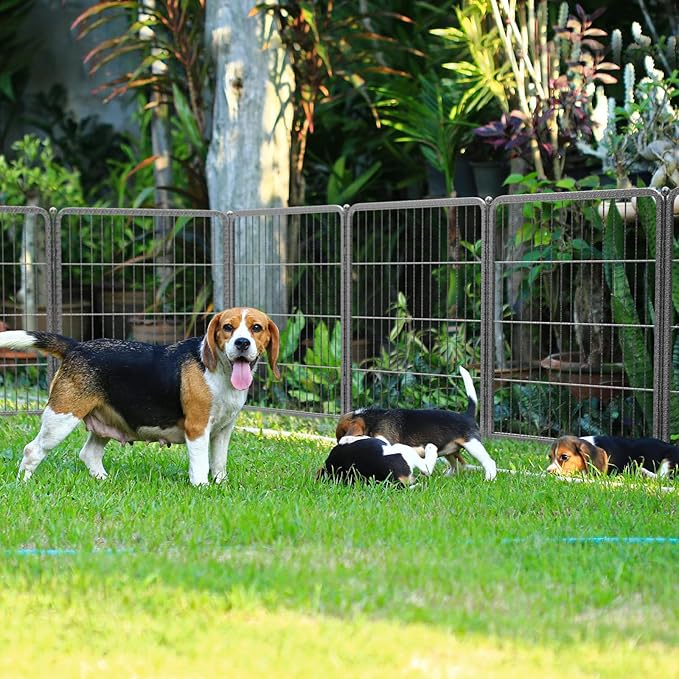 FXW Aster Dog Playpen Designed for Yard, 32inch 16 Panels