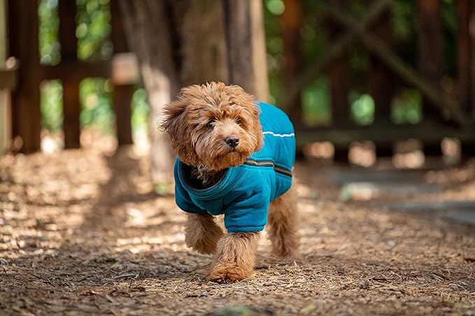 BoxDog Polar Fleece Warm Dog Jacket I Cold Weather Dog Coat | Small Dog Jackets (Small)