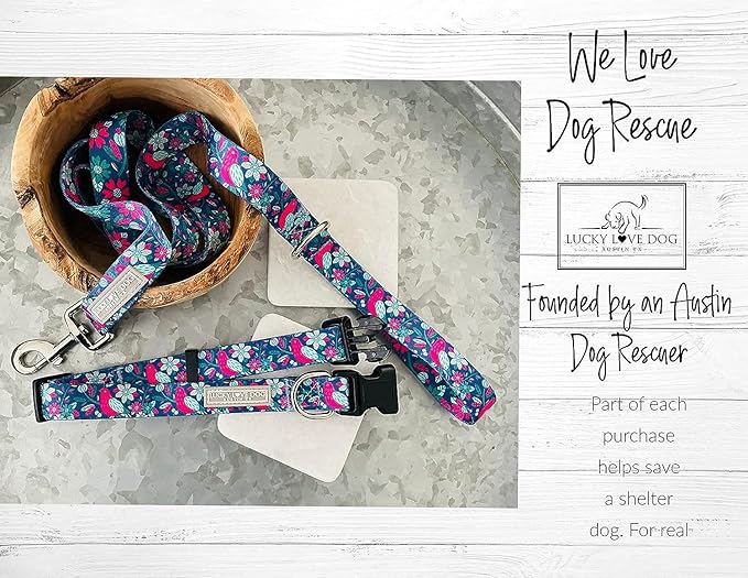 Lucky Love Dog - Easy Click Buckle Dog Collar with Leash Set Combo, Durable & Comfortable for Male & Female Dogs, Pet Collar for Small to Large Dogs, Secure Fit - Carriebelle Combo, Large