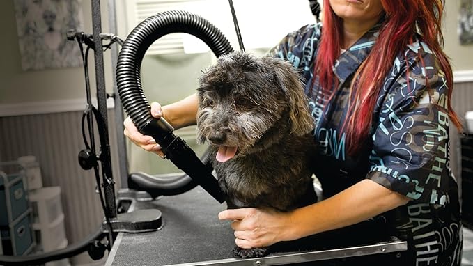 Metro Air Force Steel Commander Variable Speed Dog Dryer, 4.0 HP